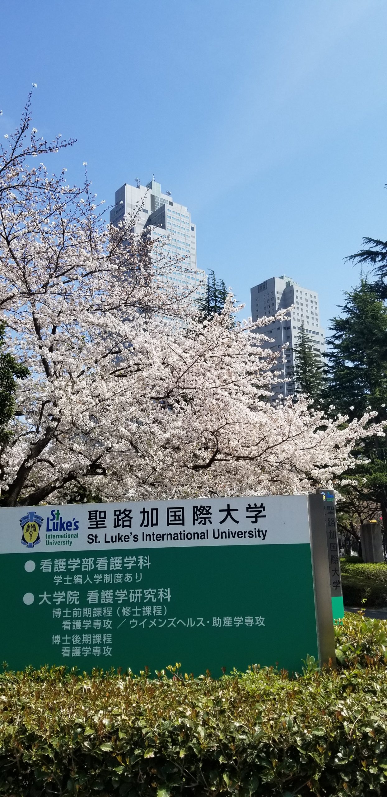 3月27日 聖路加国際大学様で定期清掃を行いました